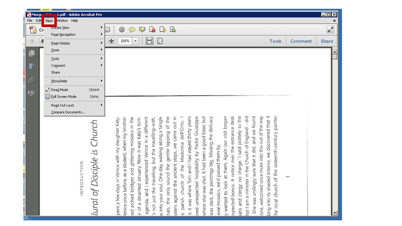 Screenshot of Adobe Pro- View highlighted in red.