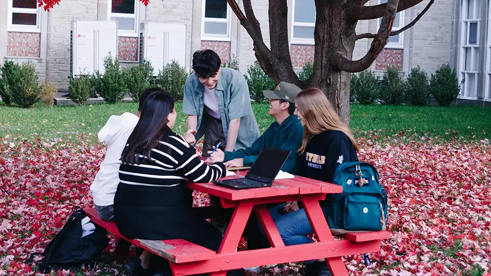 Tyndale Students studying together outside