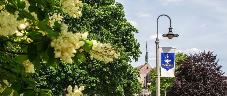 Blooming flowers near a Tyndale light post
