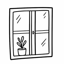 plant by window