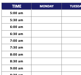 Weekly academic schedule showing time blocks for classes and study sessions from Monday to Sunday