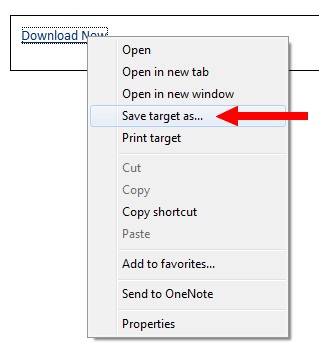 Internet Explorer right-click menu options with "Save target as..." highlighted