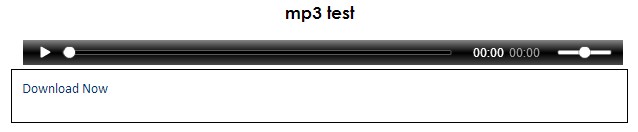 Screenshot of MP3 file listed on classes.tyndale.ca, with "Download Now" link