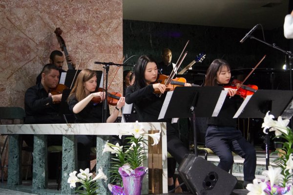 The orchestra string instrument musicians