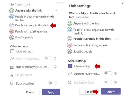 a screenshot of the edit features when attaching. Arrows point to "People currently in the chat" and the "Allow editing" checkbox. 