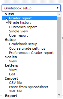 Moodle gradebook setup menu item with View grader report link highlighted